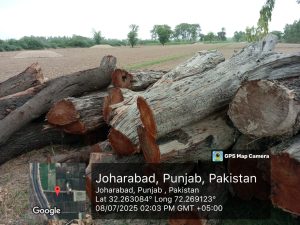 سرگودھا میں بولا ڈرین صفائی کے نام پر کروڑوں کی کرپشن بے نقاب